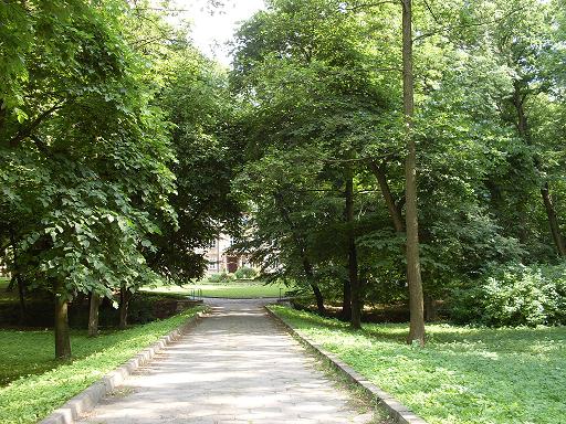 Zabytkowy Park w Dąbrowicy